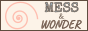 Mess & wonder - noriparelius.com