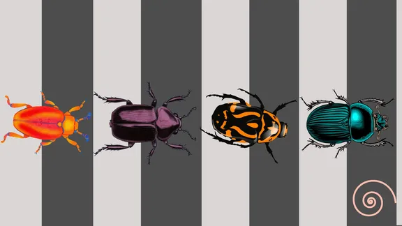 A graphics of four colorful beetles seen from above walking over a black and white striped surface that looks like a pedestrian crossing.
