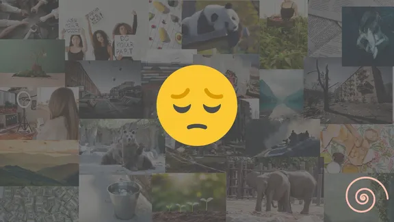 A collage of photographs of various scenes, from landscapes, through animals, people, war scenes, close ups etc, with a sad emoji in the middle.