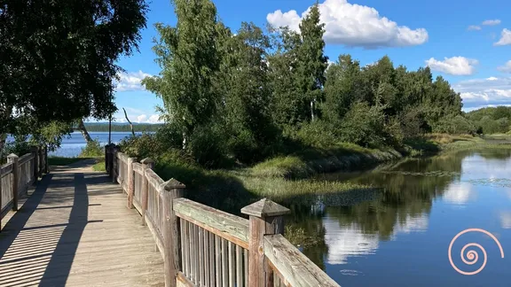 A photograph of a wooden bridge over a stream with trees around.