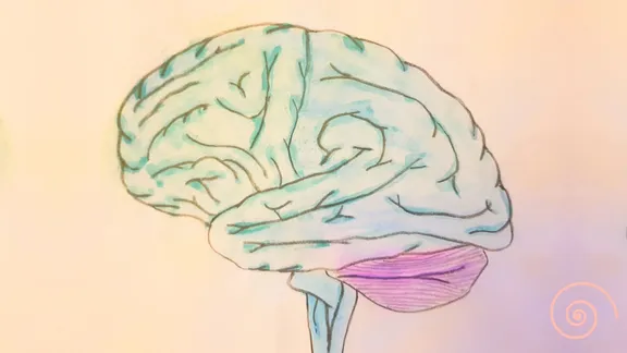 A watercolor of a brain