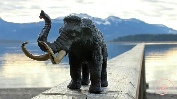A photograph of a plastic mammoth on a wooden bench in front of a lake.
