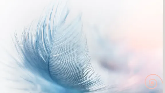 A closeup image of a feather